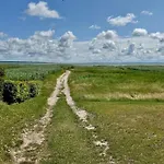 Krull App 02 Ahrenshoop