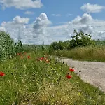 Krull App 02 Ahrenshoop