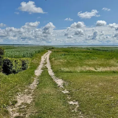 Krull App 02 Althagen