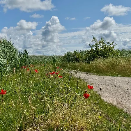 Krull App 02 Ahrenshoop